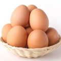 Insufficient Budgetary Funding for Nutrition: A Lifelong Threat from Early Childhood to Adulthood