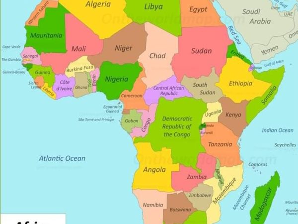 PAP COMMITTEE CALLS ON AFRICANS TO EMULATE NIGERIA’S DANGOTE PATRIOTISM