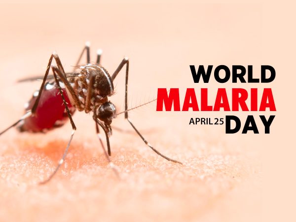 World Malaria Day: AMMREN Calls for Intensify Fight Against Malaria Disease in Ghana
