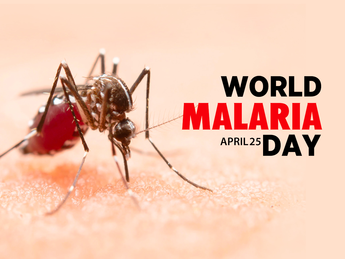 World Malaria Day: AMMREN Calls for Intensify Fight Against Malaria Disease in Ghana