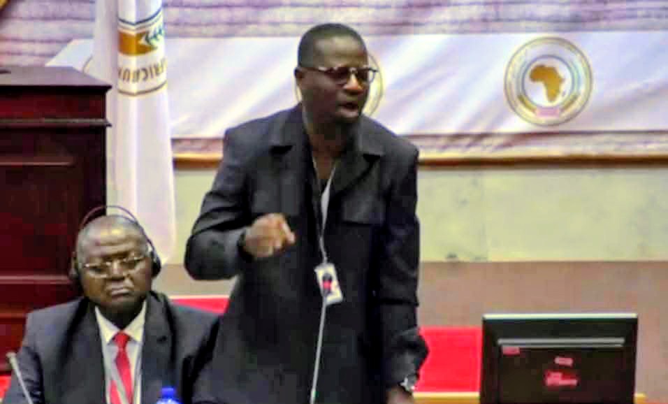 Annoh-Dompreh Elected Chair of Pan-African Parliament Committee on Health, Labour and Social Work