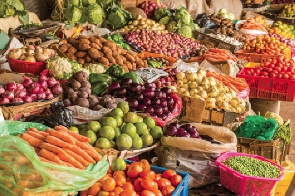 THE RISE OF UNQUALIFIED NUTRITION COMMENTARY AND SCIENTIFIC CONFUSION IN PUBLIC HEALTH EDUCATION