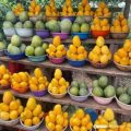 Mango Season Health Alert:  Warns  against Improper Handling of Fruits