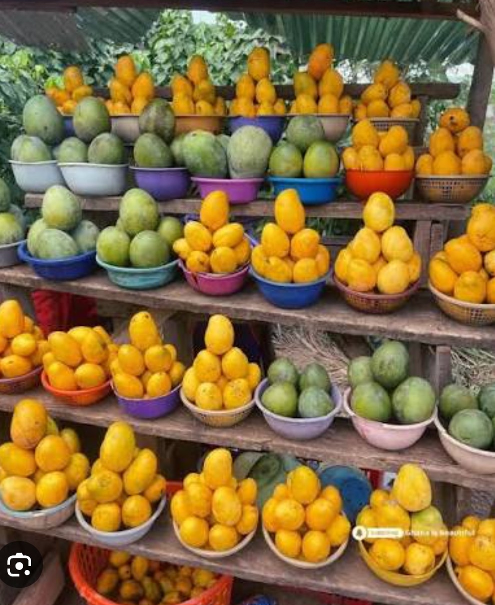 Mango Season Health Alert:  Warns  against Improper Handling of Fruits