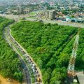 Breaking: Cabinet Revokes EI 144, Restores Achimota Forest as Protected Reserve