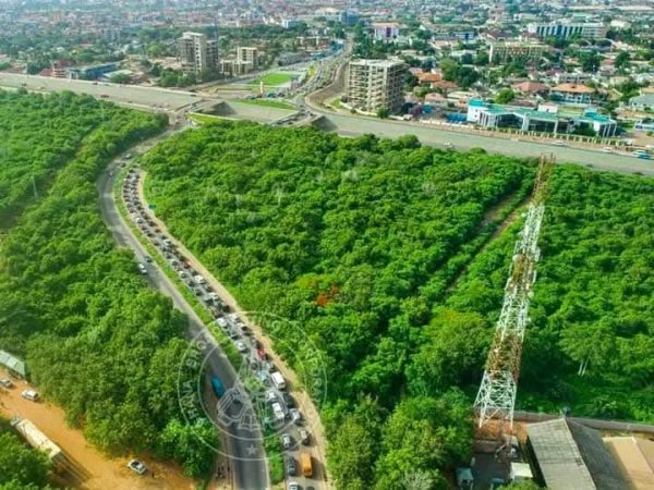 Breaking: Cabinet Revokes EI 144, Restores Achimota Forest as Protected Reserve