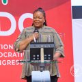 TEIN Should Produce Future Leaders to Sustain NDC Government – NHIA CEO Anatu Bogobire
