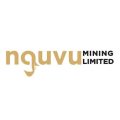 Rejoinder: Nguvu Holdings Denies Publication on “US$224 Million Share Fraud” — Demands Retraction