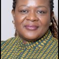 Ethnic Politics Risk Stability: Deputy NHIA Boss Cautions Ex-Defence Minister over Controversial AMA Remarks