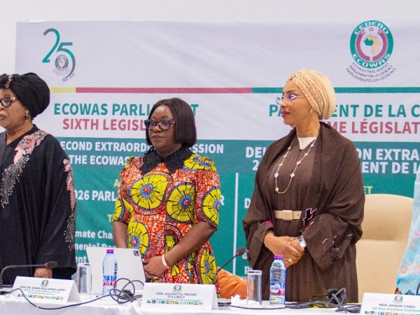 West Africa Women Must Seize Global Trade Opportunities to Create Wealth – ECOFEPA Veep