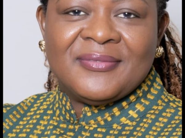Ethnic Politics Risk Stability: Deputy NHIA Boss Cautions Ex-Defence Minister over Controversial AMA Remarks