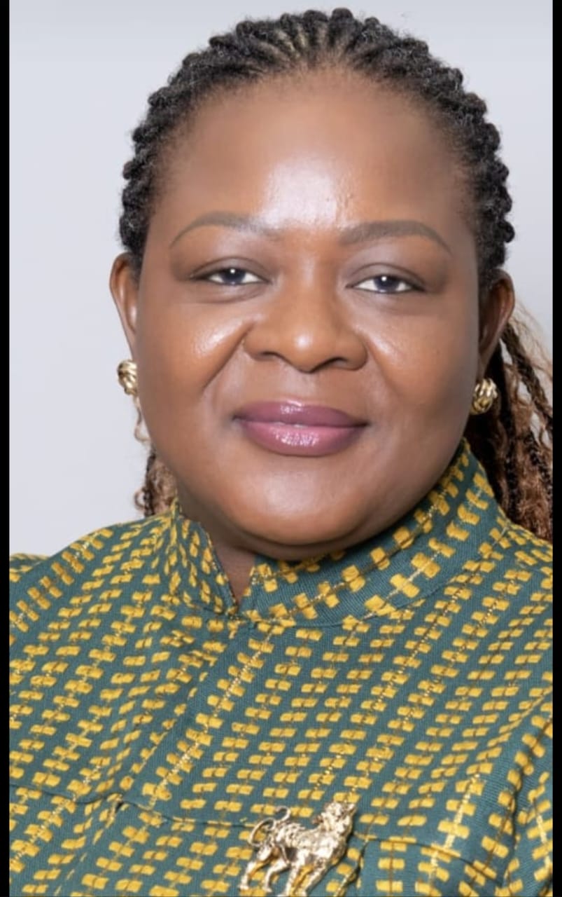 Ethnic Politics Risk Stability: Deputy NHIA Boss Cautions Ex-Defence Minister over Controversial AMA Remarks