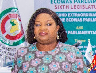 ECOWAS Must Unite to Tackle Growing Climate, Security Threats — Speaker Ibrahima