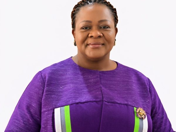 Election 2028: Ghanaians Want Vision, Not Political Metaphors and Deception — Anne Bogobiri