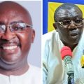‘It Was a Coup, Not an Amendment’ — Butey Rejects Move to Make Bawumia NPP Leader