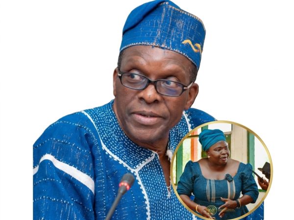 Nadowli-Kaleo DCE Hails Bagbin, Unveils 60-Strong Sanitation Initiative and Development Projects
